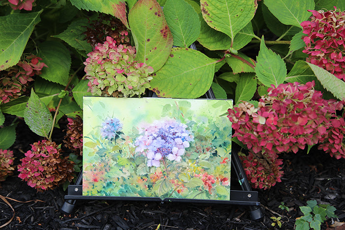 Lavender Hydrangea Watercolor Art Print