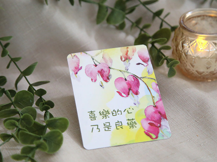 The Blessing Set (中文版)