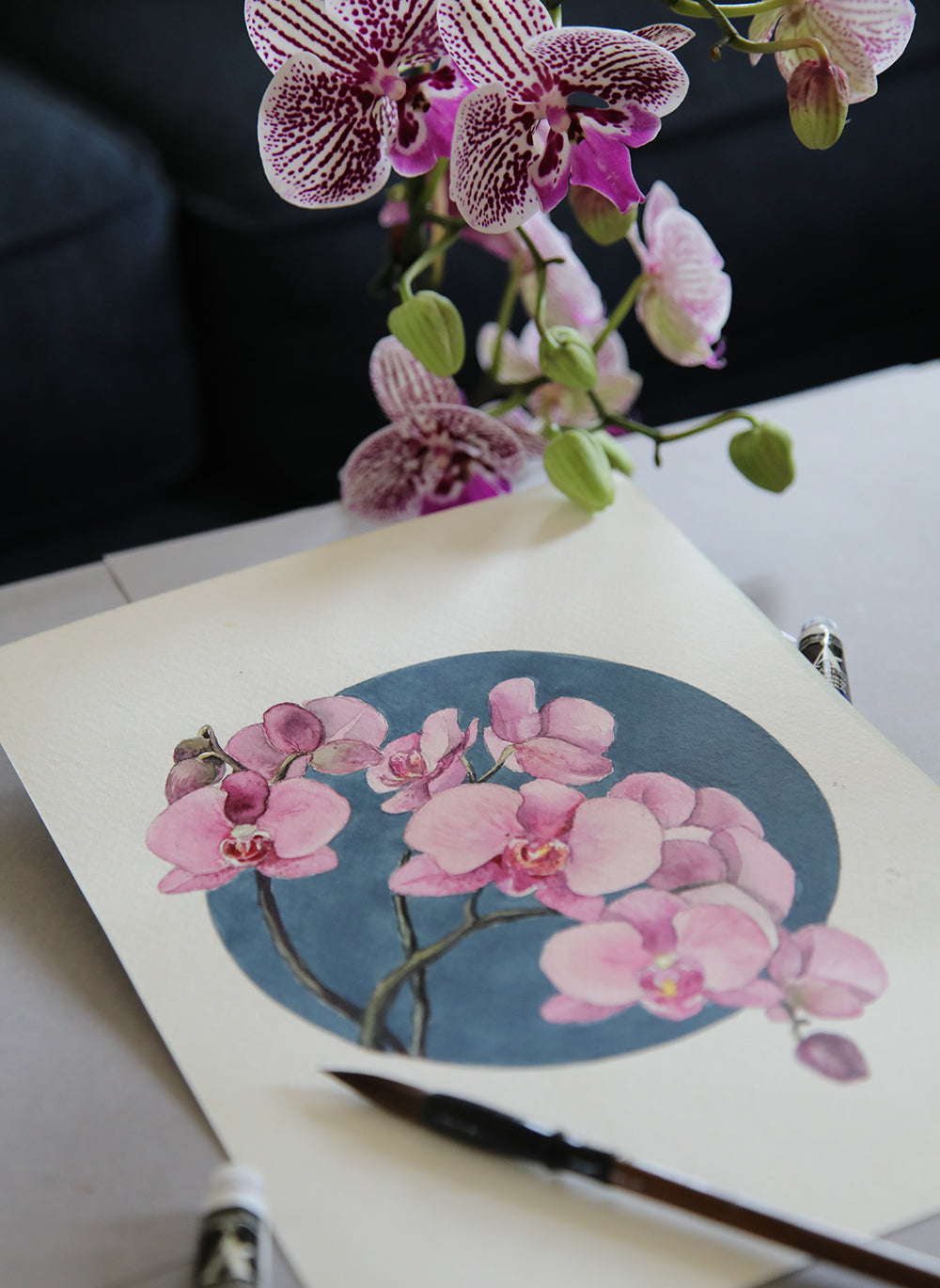 Circle of Stillness – Pink Orchid Art Print