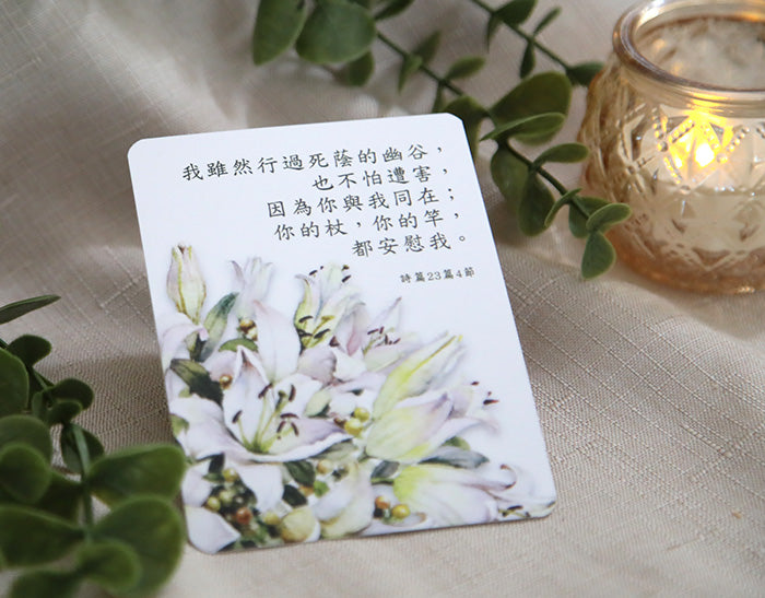 The Blessing Set (中文版)