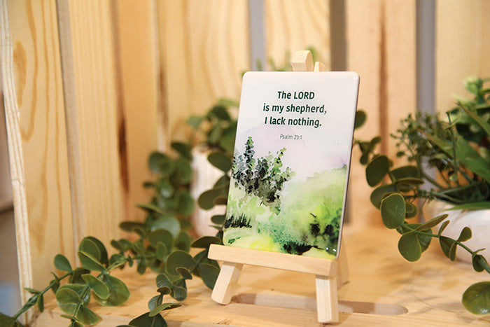Seeds of Faith Magnet Bundle
