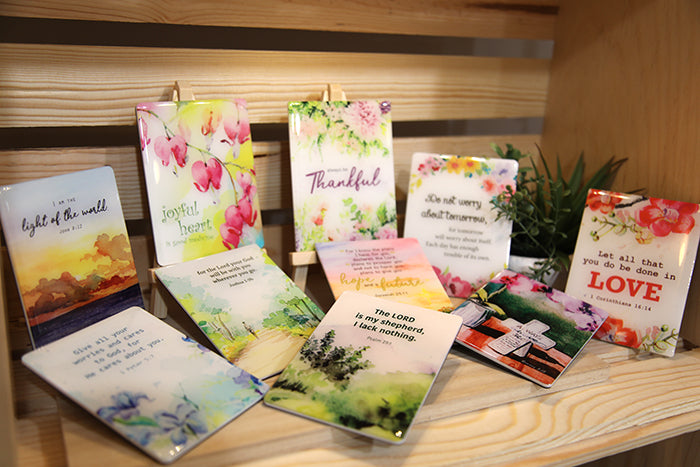 Seeds of Faith Magnet Bundle