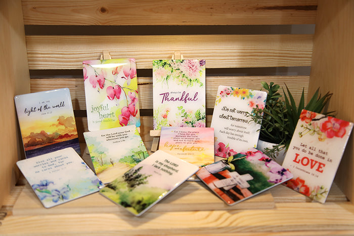 Seeds of Faith Magnet Bundle
