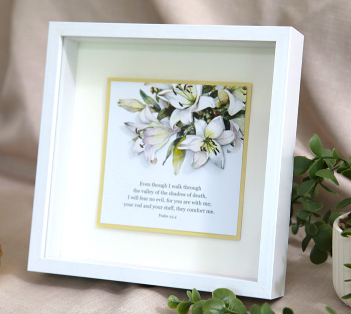 3D Card Showcase Frame - White