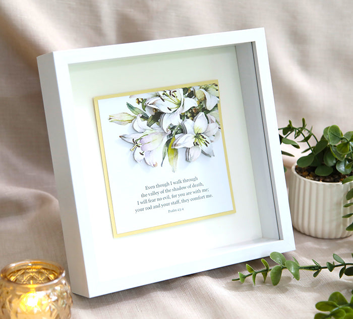 3D Card Showcase Frame - White